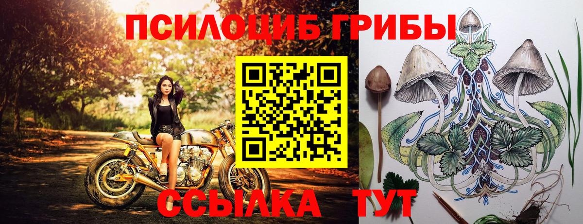 Псилоцибиновые грибы ЛСД  Вход с VPN  Бугульма 