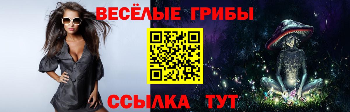 Галлюциногенные грибы прущие грибы Бугульма